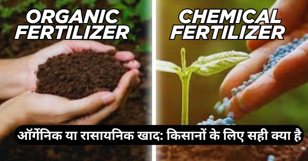 Organic fertilizer vs Chemical fertilizer