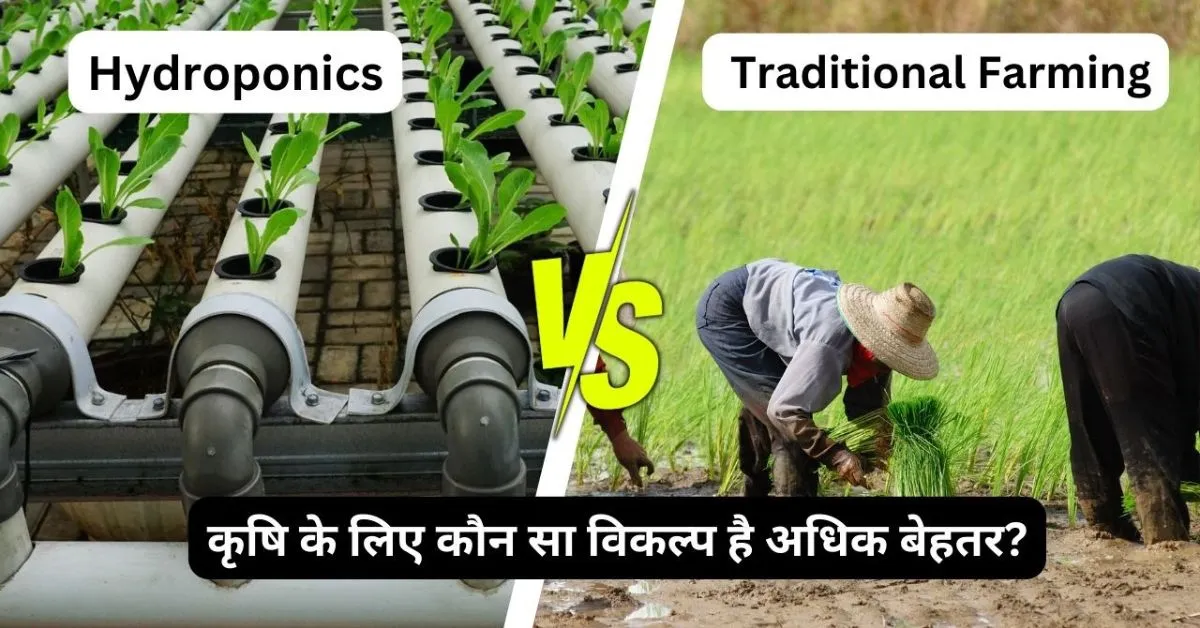 Hydroponics vs Traditional Farming in india