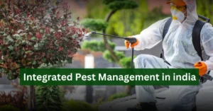 Integrated Pest Management in india