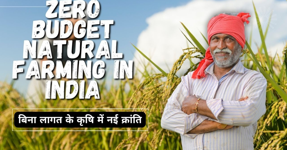 Zero Budget Natural Farming in india