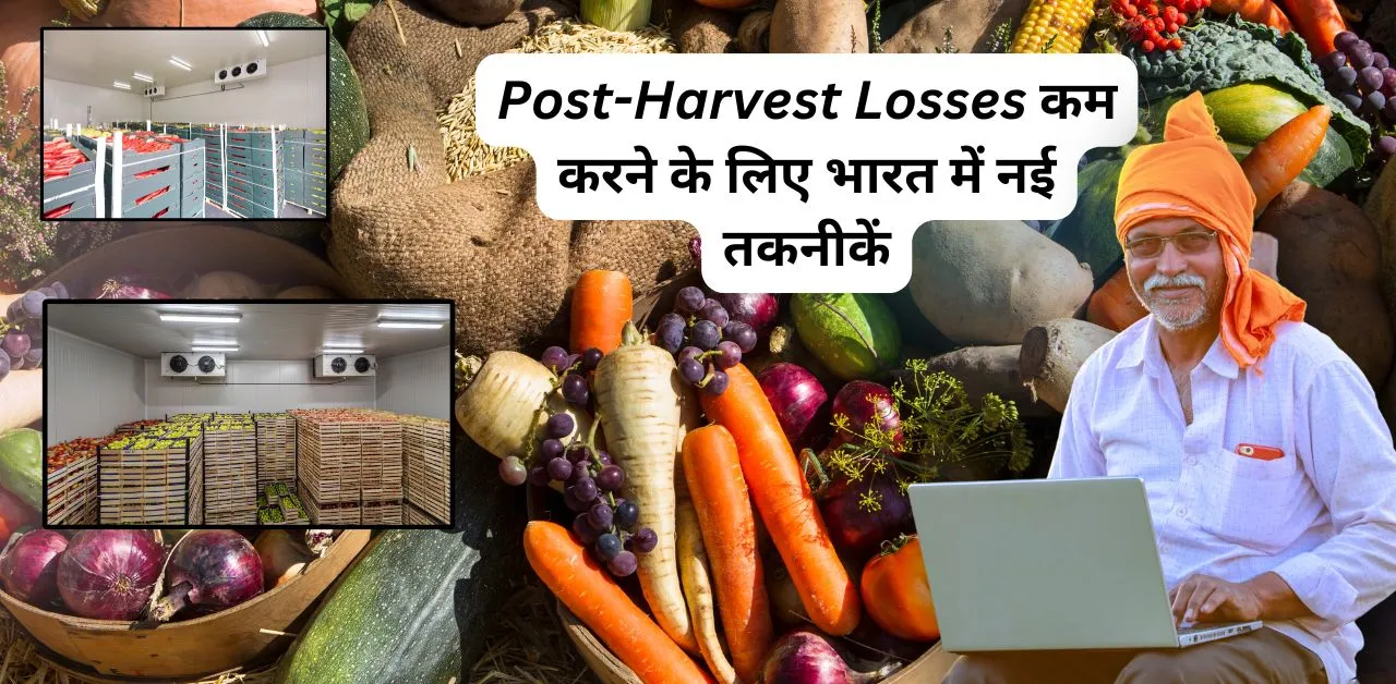 Post-Harvest Losses