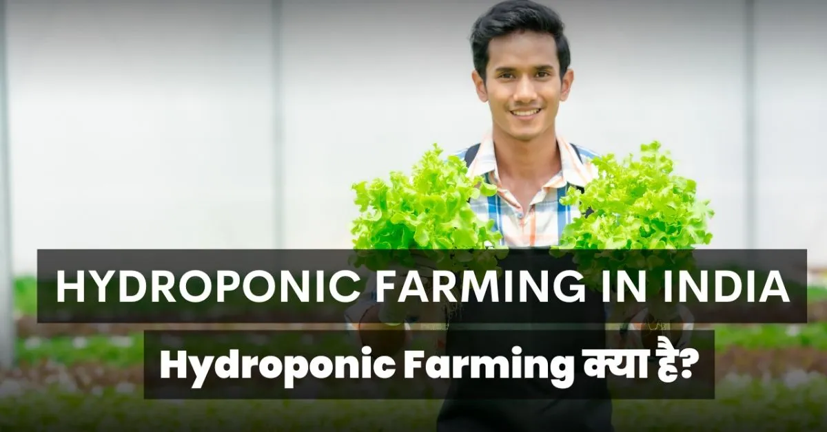 Hydroponic Farming in india